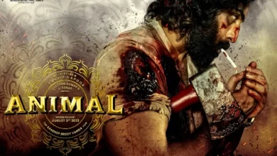 रणबीर कपूर के लिए सबसे बड़ी ओपेनिंग फिल्म साबित हो सकती है ‘एनिमल’, एडवांस बुकिंग शुरू
