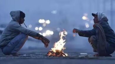 पहाड़ से लेकर मैदान तक कोहरे के साथ हुई दिन की शुरुआत, 7 डिग्री तक लुढ़का अधिकतम तापमान 