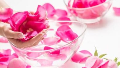 गुलाब की पंखुडिय़ों को खाने के हैं अनोखे फायदे, स्किन केयर के लिए इस तरह करें सेवन