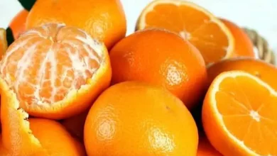 सर्दियों में रोजाना एक संतरा खाना शरीर के लिए काफी ज्यादा फायदेमंद होता है