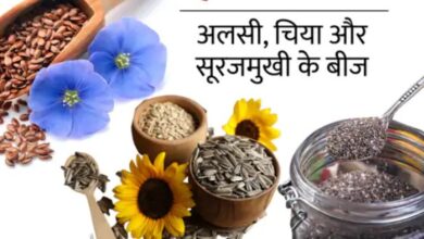 सुबह के नाश्ते में इन बीजों का करें सेवन, स्वास्थ्य को मिलेंगे कई लाभ