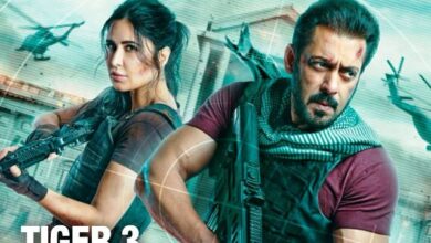 सलमान की टाइगर 3 ने दुनियाभर में पार किया 240 करोड़ रुपये का आँकड़ा