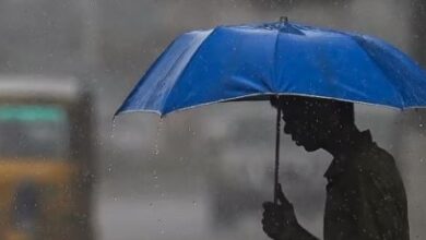 प्रदेश में मौसम ने बदली करवट, बूंदाबांदी से बढ़ी ठंड