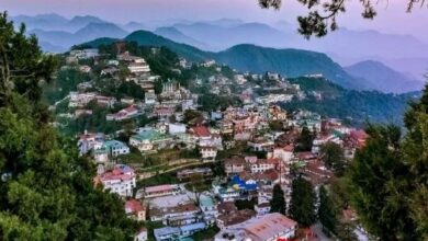 नववर्ष से पहले ही हांफने लगी पहाड़ों की रानी, बड़ी संख्या में पर्यटक उमड़ने से शहर हुआ पैक