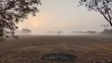 बारिश न होने से पहाड़ से लेकर मैदान तक सूखी ठंड से परेशान लोग