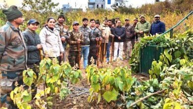 शिवगंगा एन्क्लेव में दिन दहाड़े बाघ की चहलकदमी