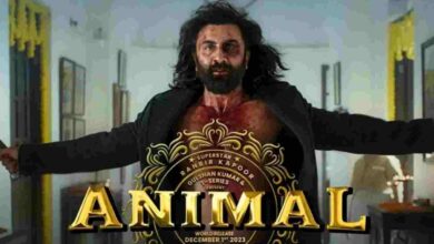 रणबीर कपूर स्टारर एनिमल फिल्म के टिकट हुए सस्ते, महज 100 रुपये में दर्शक देख सकेंगे मूवी