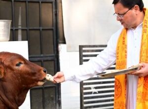 सीएम ने रामचरितमानस की चौपाइयों का पाठ कर की गौ सेवा