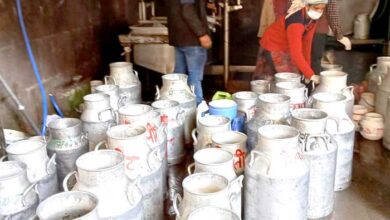 Milk Producers Cooperative Union Limited, Tehri Garhwal increased milk production by about 42 percent in six months.