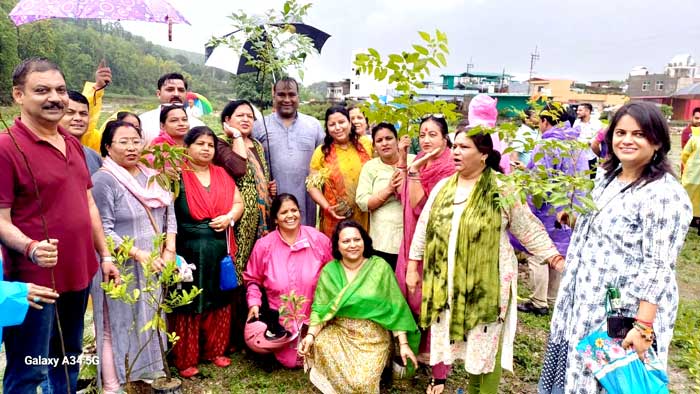 Mahanagar BJP Dehradun_tree plantation