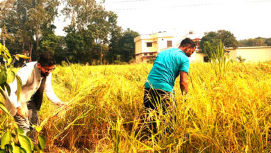 CDO Dehradun Abhinav Shah visited the farmer's field