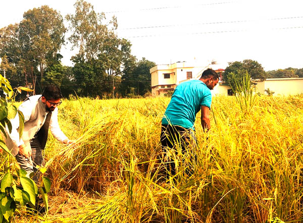 CDO Dehradun Abhinav Shah visited the farmer's field