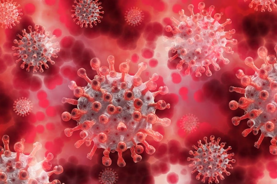 देश में फिर बढ़ने लगे कोरोना के मामले, JN.1 वेरिएंट ने बढ़ाई चिंता