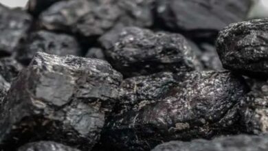 चारधाम यात्रा में नकली कस्तूरी और शिलाजीत की धड़ल्ले से बिक्री, वन विभाग बेखबर