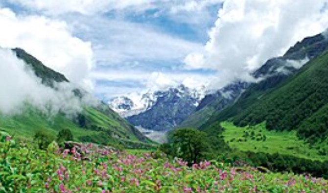 फूलों की घाटी एक बार फिर पर्यटकों के लिए खुली