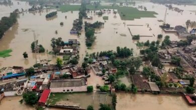 पंजाब में तबाही मचाती बाढ़, 1500 गांव प्रभावित – अमृतसर के सीमांत गांवों में बर्बादी का मंजर