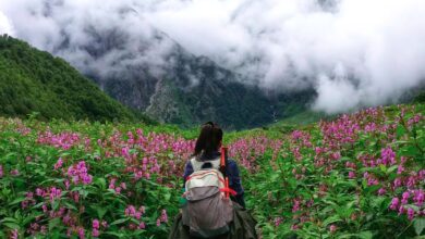 फूलों की घाटी में इस बार घटे भारतीय पर्यटक, राजस्व पर पड़ा असर