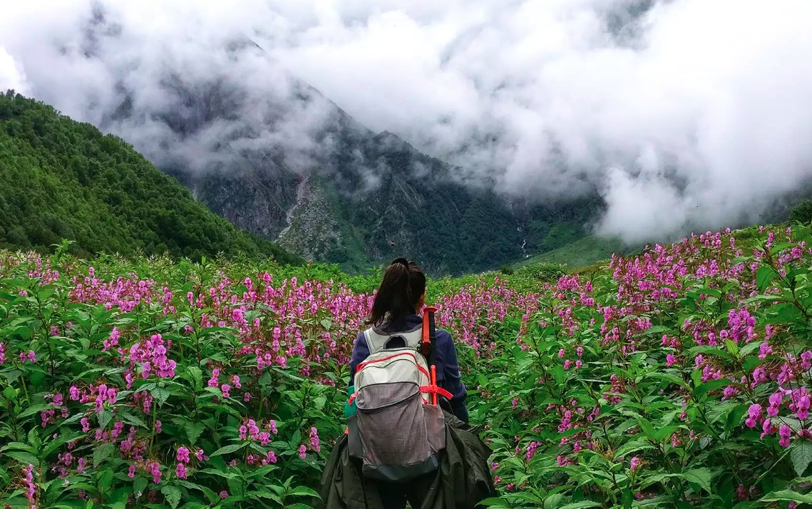 फूलों की घाटी में इस बार घटे भारतीय पर्यटक, राजस्व पर पड़ा असर