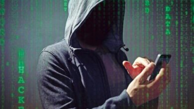 पाकिस्तान में बड़ा डेटा लीक, केंद्रीय मंत्रियों तक की जानकारी ऑनलाइन बिक्री पर