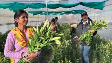 उद्यमिता से स्वरोजगार बढ़ाकर पलायन रोक रही ग्रामोत्थान परियोजना