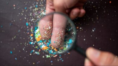 माइक्रोप्लास्टिक- छोटे कण, बड़ा नुकसान – जानिए कैसे प्रभावित हो रही आपकी सेहत