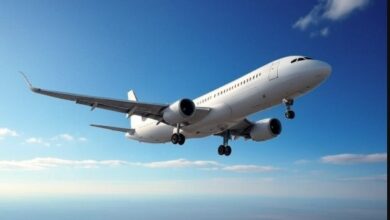 भारत ने पाकिस्तानी विमानों पर लगे हवाई क्षेत्र प्रतिबंध को एक महीने और आगे बढाया