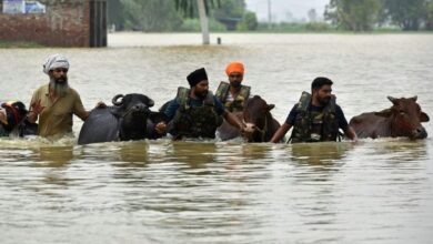 पंजाब में बारिश से तबाही, 23 जिलों के 1400 से ज्यादा गाँव बाढ़ की चपेट में