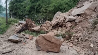 यमुनोत्री हाईवे 19वें दिन भी बंद, खच्चरों के सहारे पहुँचाई जा रही जरूरी सामग्री