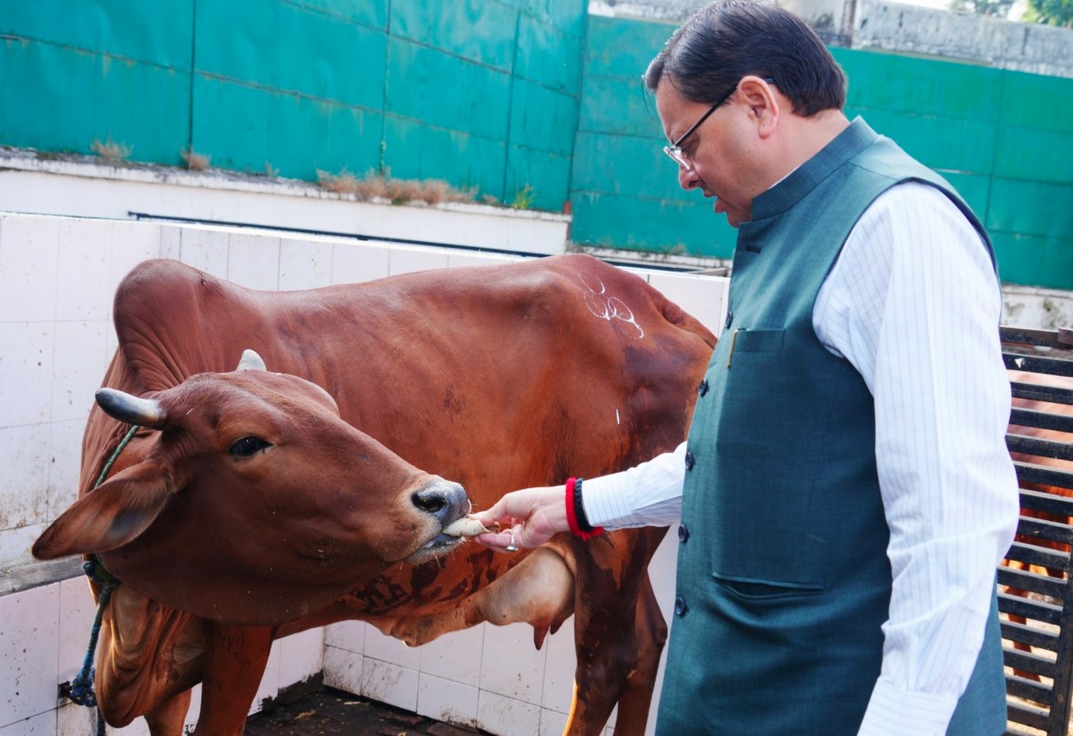 मुख्यमंत्री धामी ने गोवर्धन पूजा पर किया गौ माता का पूजन और सेवा