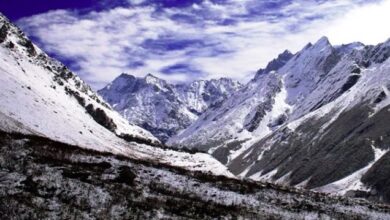 बर्फ की सफेद चादर से ढकी विश्व धरोहर फूलों की घाटी, बर्फबारी का आनंद लेने पहुँच रहे हजारों पर्यटक