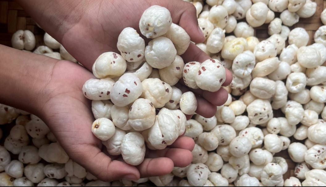 क्या आप भी करते हैं मखाने का अत्यधिक सेवन ? अगर हाँ, तो जानिए इसके नुकसान