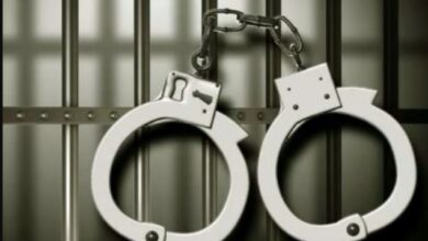 अमेरिका में अवैध रूप से रह रहे ट्रक चालकों के खिलाफ बड़ी कार्रवाई, 30 भारतीय गिरफ्तार