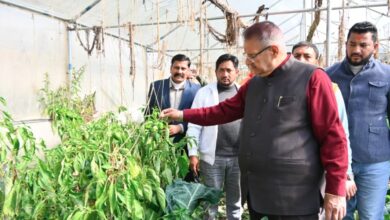 कृषि मंत्री गणेश जोशी ने भगरतौला में किसानों से किया संवाद, पॉलीहाउस क्लस्टर मॉडल की सराहना की