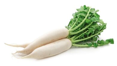 सर्दियों में मूली खाने के फायदे कई, लेकिन इन चीज़ों के साथ बिल्कुल न करें सेवन, बढ़ सकती हैं पाचन समस्यायें