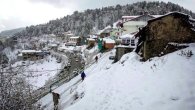 चमोली में भारी बर्फबारी से जनजीवन अस्त-व्यस्त, 77 से अधिक गांव प्रभावित