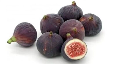 सेहत का खजाना है अंजीर : रोजाना सेवन करने से मिलते हैं कई बड़े फायदे