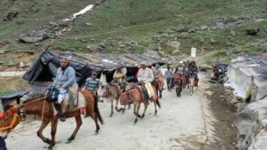 केदारनाथ धाम यात्रा की तैयारियां तेज, घोड़े-खच्चरों का पंजीकरण शुरू