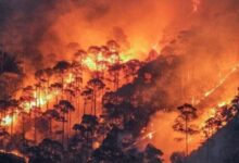 उत्तराखंड में बढ़ी वनाग्नि की घटनाएं, फायर सीजन में अब तक 73 मामले दर्ज