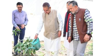 कृषि मंत्री गणेश जोशी ने अपने शासकीय आवास पर किया पौधरोपण