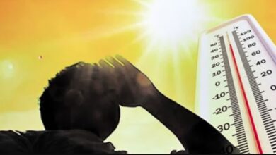 मार्च की शुरुआत में ही गर्मी ने दिखाए तेवर, प्रदेश में तेजी से बढ़ रहा तापमान