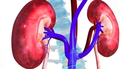 हाई ब्लड प्रेशर और शुगर बढ़ा सकते हैं किडनी रोग का खतरा, विशेषज्ञों ने दी चेतावनी