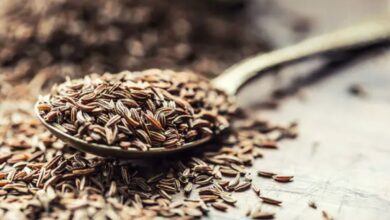जीरा- रसोई का साधारण मसाला, पर पेट की समस्याओं का असरदार इलाज