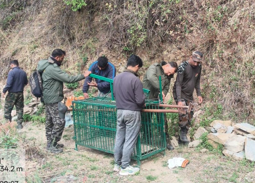 मानव-वन्यजीव संघर्ष पर कड़ा कदम: गुलदार को पकड़ने के साथ ही नष्ट करने के आदेश