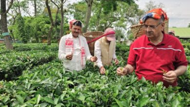 कृषि मंत्री गणेश जोशी ने असम के हाथीकुली चाय बागान का किया अवलोकन