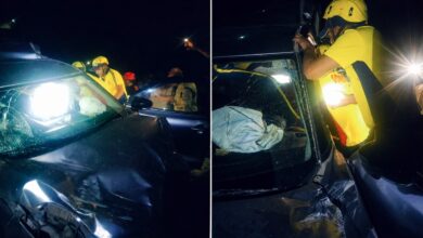 जवाड़ी पुल के पास गहरी खाई में गिरी कार, SDRF ने समय रहते बचाई दो जिंदगियां