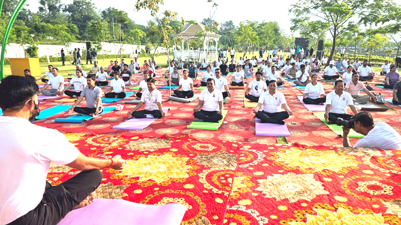 योग की छाँव में विकास का संकल्प, एमडीडीए सिटी फॉरेस्ट पार्क बना स्वास्थ्य और प्रकृति का महाकुंभ