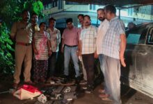 काशीपुर में STF की बड़ी कार्रवाई, कार से भारी मात्रा में अवैध हथियार और 237 कारतूस बरामद