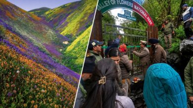 विश्व प्रसिद्ध फूलों की घाटी पर्यटकों के लिए खुली