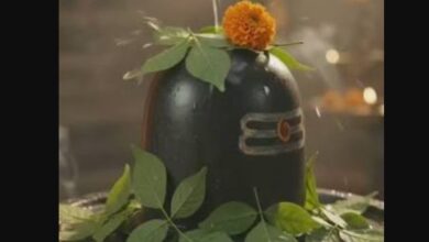 सावन के पहले सोमवार पर शिवालयों में उमड़ा आस्था का सैलाब, भोलेनाथ के जयकारों से गूंजे मंदिर