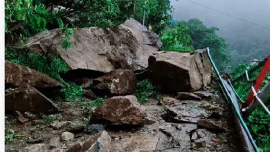 जंगलचट्टी क्षेत्र में केदारनाथ पैदल मार्ग पर गिरे बोल्डर, यात्रा पर लगी अस्थायी रोक